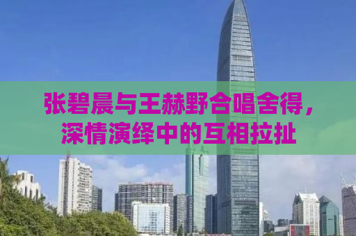 张碧晨与王赫野合唱舍得，深情演绎中的互相拉扯